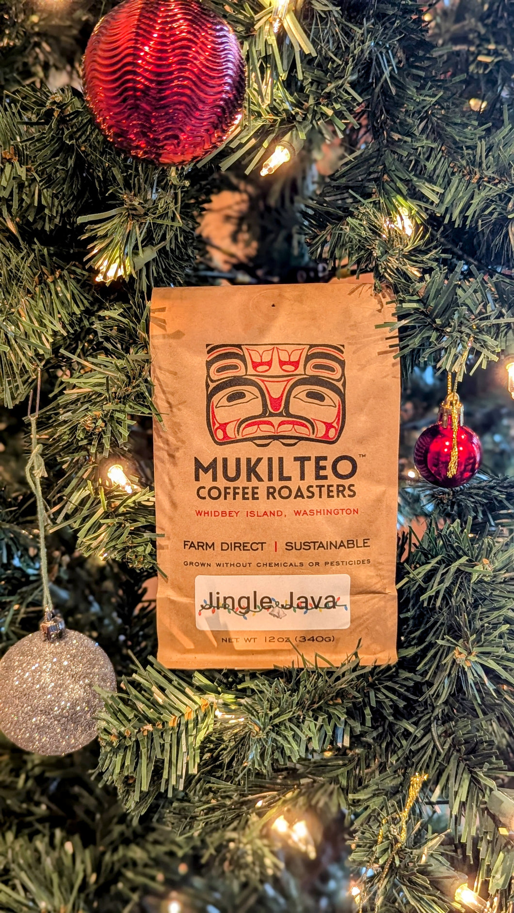 Jingle Java